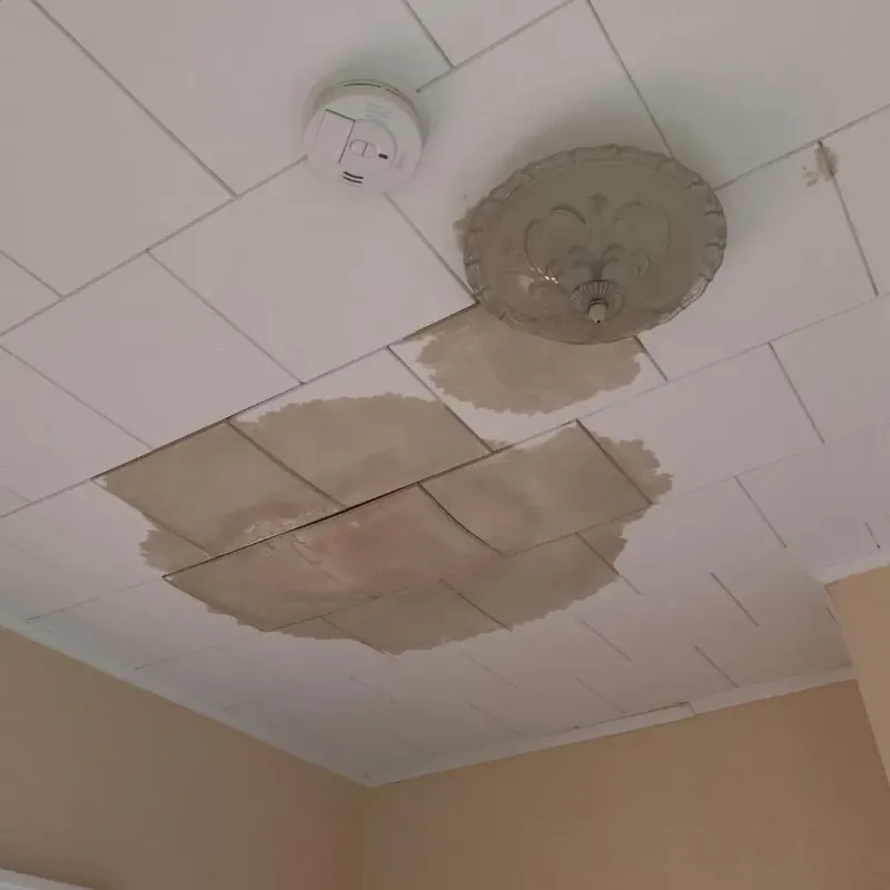 Ceiling Water Damage Repair in Enterprise, UT