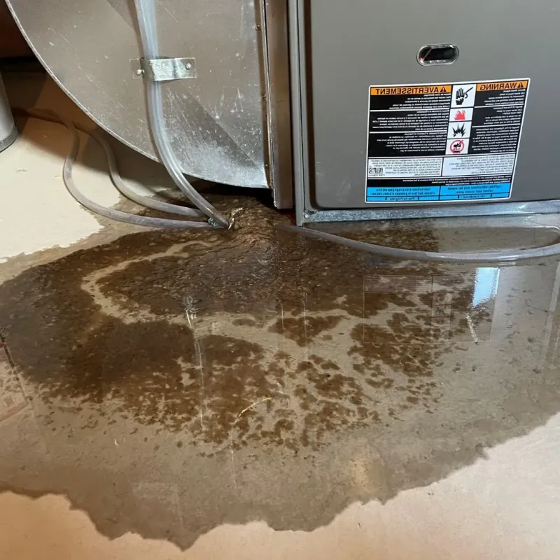Pipe Burst and Leak Restoration in Enterprise, UT