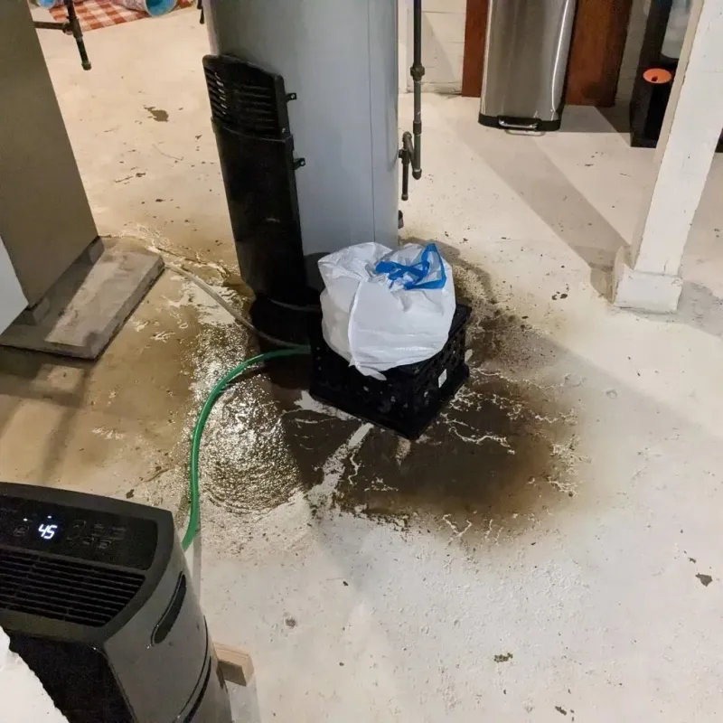 Sewage Backup Cleanup Service in Enterprise, UT